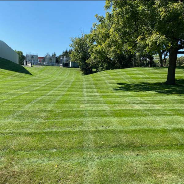 big open golf court lawn