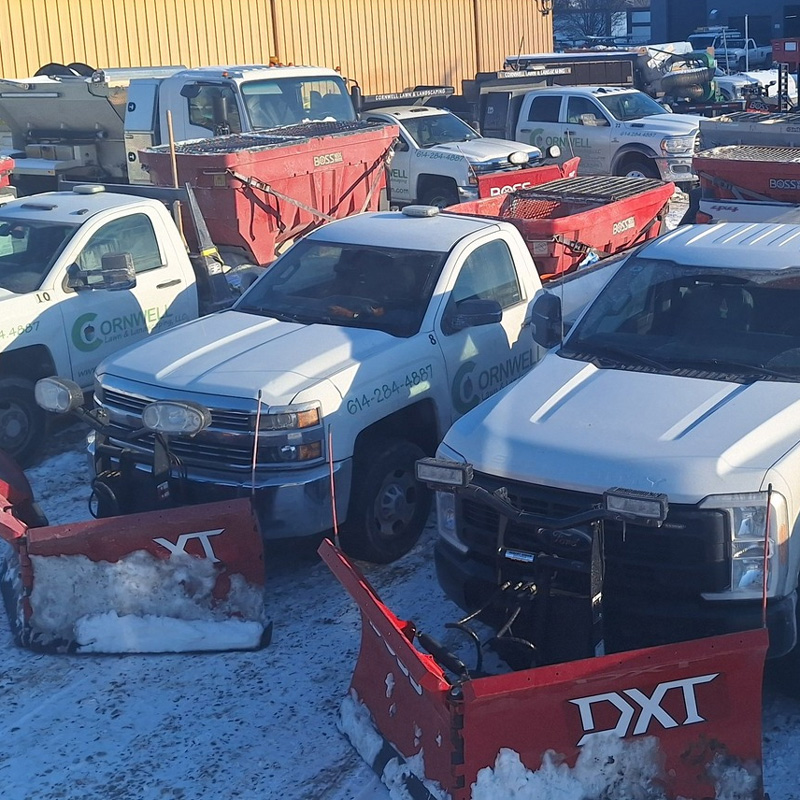 trucks with snow plows