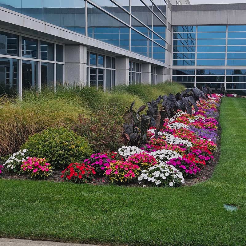 beautiful landscaping along building