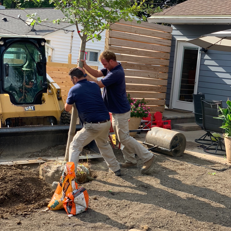 two men planting a tree in a customers yard