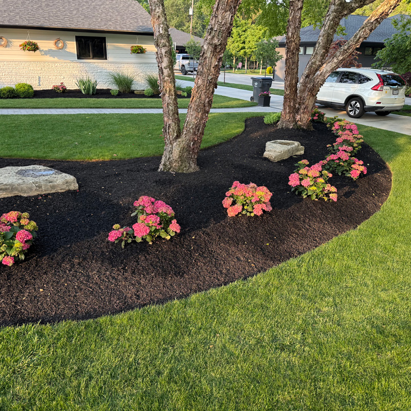 newly designed flower bed for a residential home