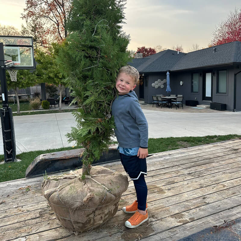 boy holding up a tree