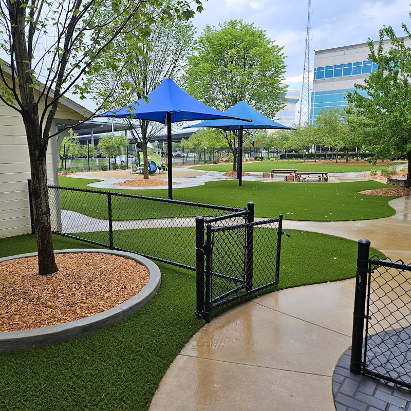 a park with new turf
